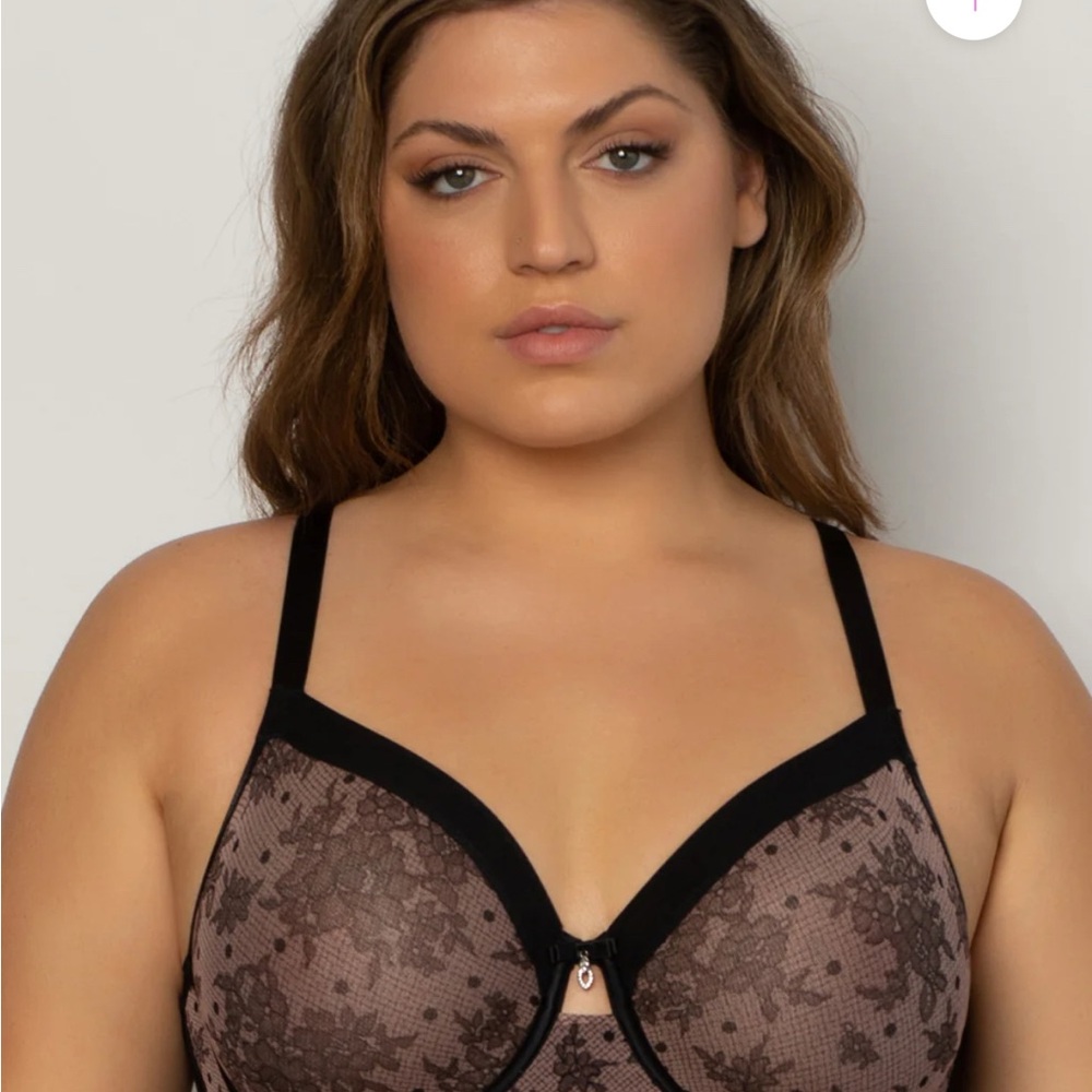 Sheer Mesh Full Coverage Unlined Underwire Bra